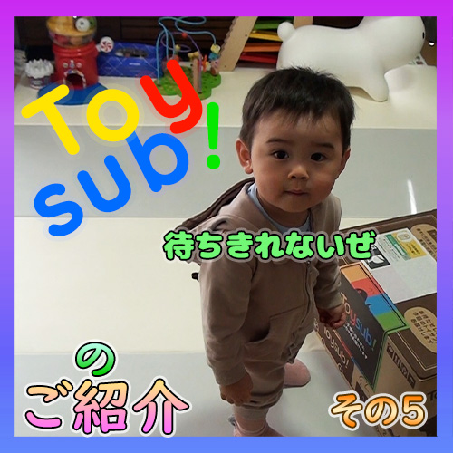 1歳6ヶ月 大人の真似が一番の知育玩具 Toysub 6 移植系パパの経過観察